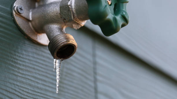 Best Residential Plumbing Services  in South Hill, VA